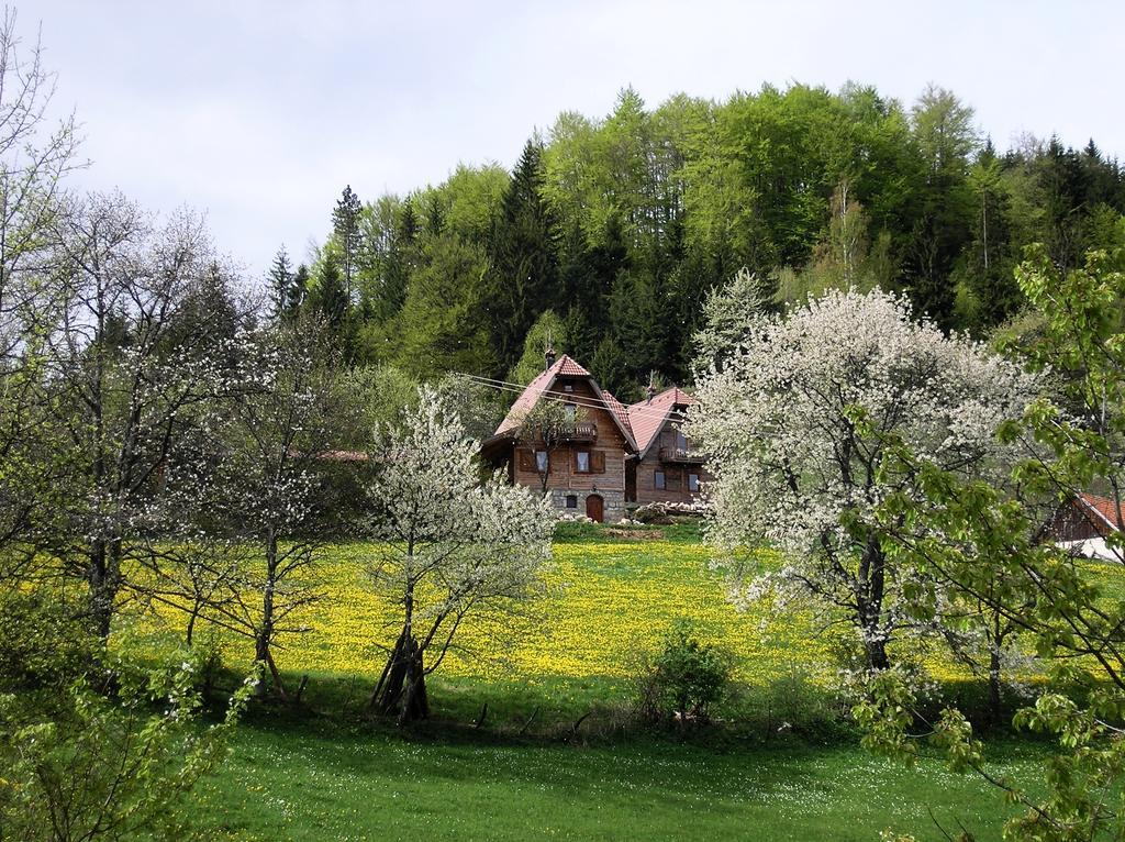 Apartamento Konaci Zaovljanska Jezera Zaovine Exterior foto